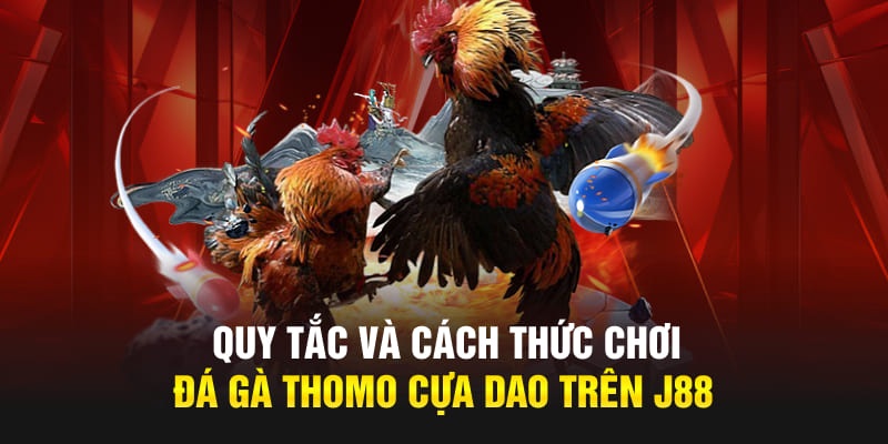 Hướng dẫn chi tiết tham gia chơi đá gà Thomo cựa dao tại nhà cái