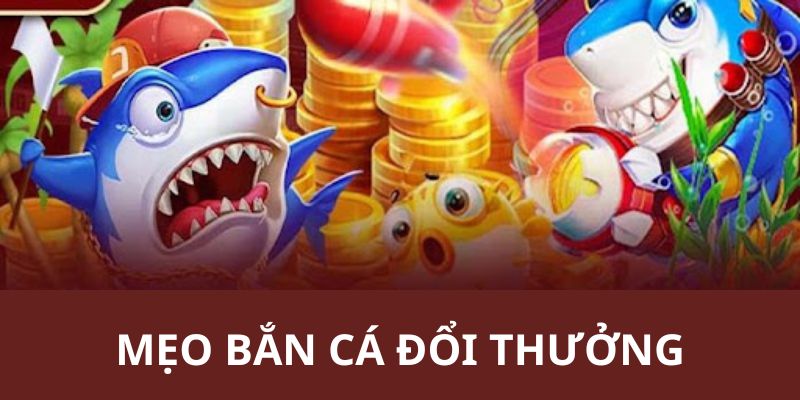 Tổng hợp các chiến thuật săn mồi cực hay hỗ trợ người chơi